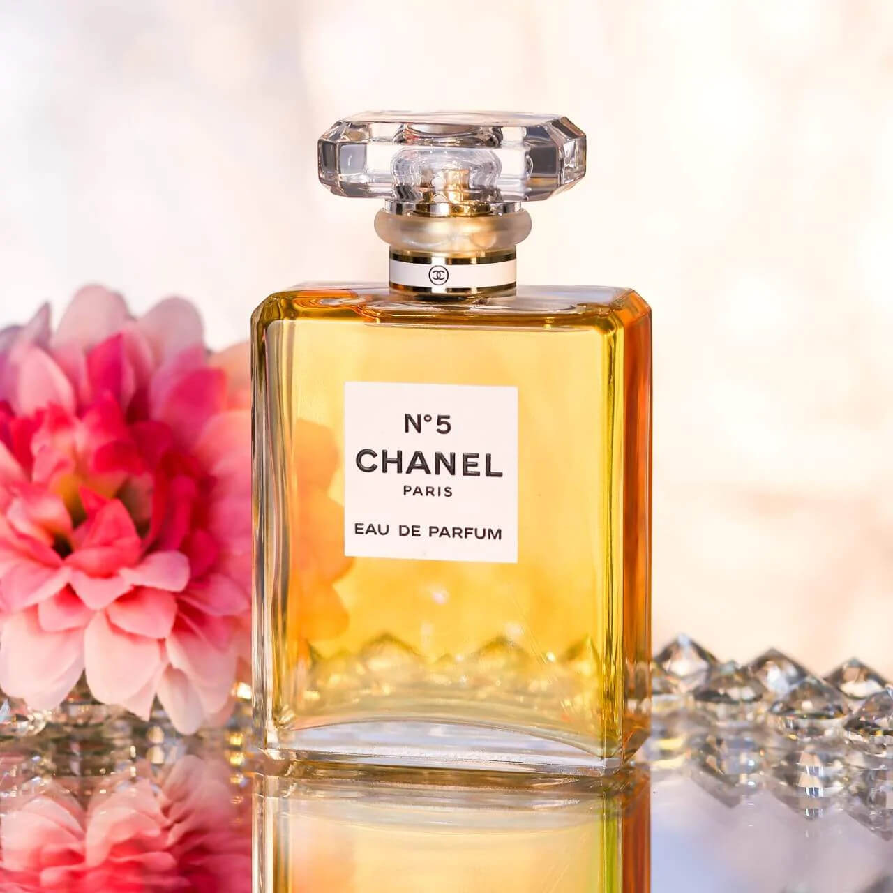 N5 Chanel Perfume - PlazzaPK Lifestyle
